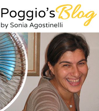 The blog of il poggio delle Ginestre holiday home living in umbria italy